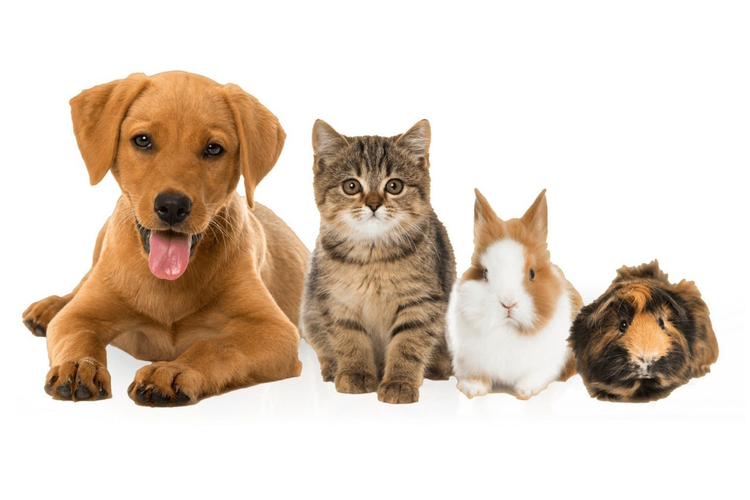 пикник марта.jpg