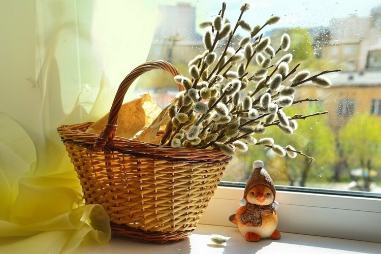 пикник весна.jpg