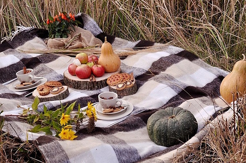 Осенний пикник.jpg